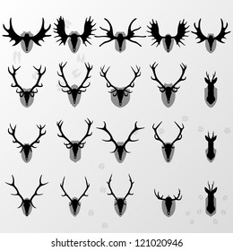 Deer, moose and doe horns hunting trophy and coat of arms shields illustration collection background vector