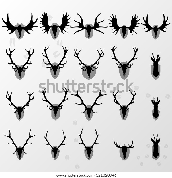 Deer, moose and\
doe horns hunting trophy and coat of arms shields illustration\
collection background\
vector