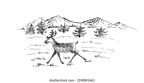 
Deer and mountains. Vector linear illustration.