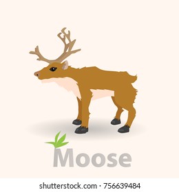 Deer mousse for use in conjunction with Santa Claus on white background.