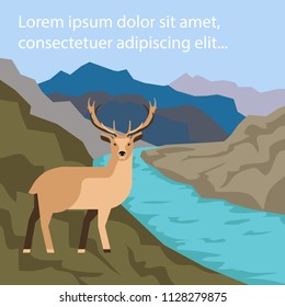 Deer natural vector