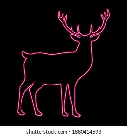 Deer neon silhouette isolated black background  Wild animals  cute mammals 