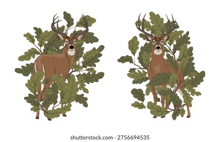 Deer in oak leaves forest, wild stag and buck in woodland foliage vector set