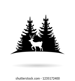 Deer on the background of the coniferous forest. 