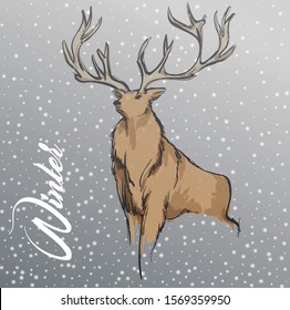 Deer on the background of falling snow, hand drawn, sketch. Deer or elk on a winter background. Illustration of wild mammals animals. Brown adult deer with big horns