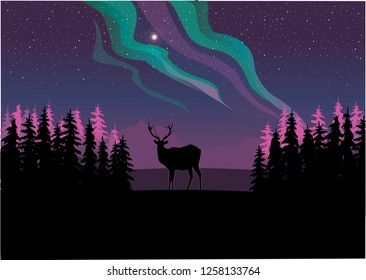 deer on the background of Northern lights