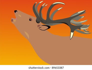 Deer on a decline