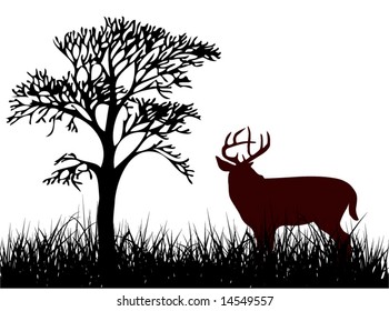 Deer on the grass illustration