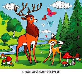 Deer on a meadow