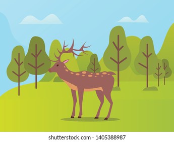 Deer on pasture vector, animal with furry coat and horns in natural park. Forest with trees and hills, reservation of environment habitat for mammals