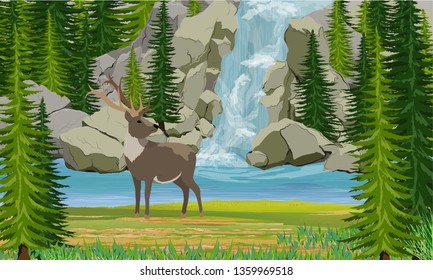 Deer on the shore of a mountain lake. Waterfall, rocks and spruce trees. Wild nature of Europe, Scananavia, USA and Canada. Realistic Vector Landscape