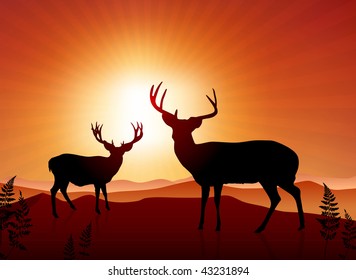Deer on sunset background Original Vector Illustration Animals on Sunset Ideal for Wildlife Nature Concepts