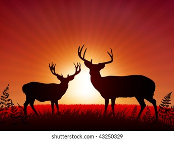 Deer on Sunset Background Original Vector Illustration Animals on Sunset Ideal for Wildlife Nature Concepts