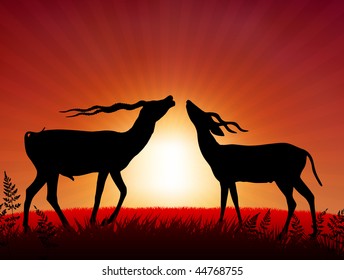 Deer on Sunset Background Original Vector Illustration