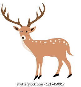 A deer on a white background.