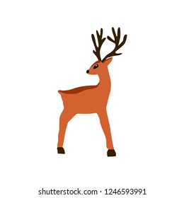 Deer on a white background.