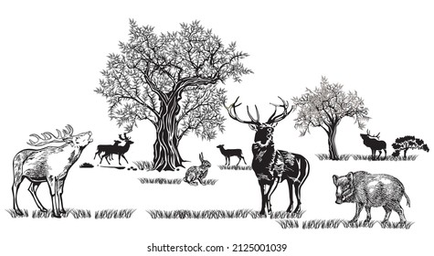 Deer and other wild animals in nature, illustration isolated on white background