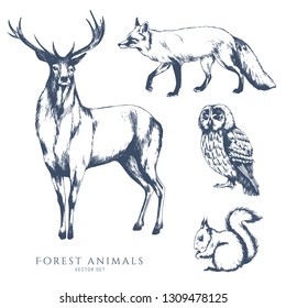 Deer, owl, squirrel and fox monochrome hand drawn sketch. Wildlife vector illustration set. Forest animal.