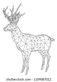 Deer polygonal lines illustration. Abstract vector deer on the white background