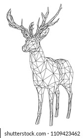 Deer polygonal lines illustration. Abstract vector deer on the white background