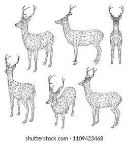 Deer polygonal lines illustration. Abstract vector deer on the white background