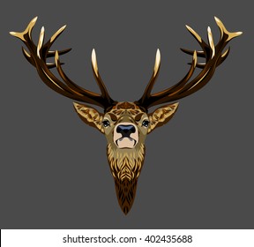 deer portrait
