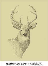 Realistic Deer Head Images Stock Photos Vectors Shutterstock