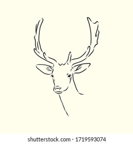 Deer portrait. Hand drawn vector illustration. Can be used separately from your design. portrait of a deer, deer head, vector sketch illustration