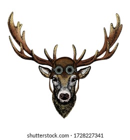 Deer portrait. Head of wild animal. Aviator flying leather helmet with googles.