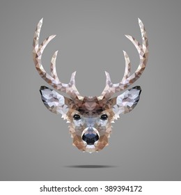 Deer portrait. Low poly design. Abstract polygonal illustration.