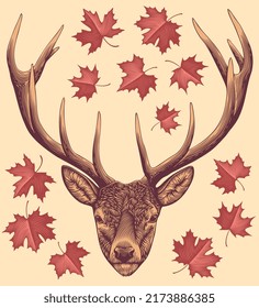 Deer portrait and maple leaves. Design set. Editable hand drawn illustration. Vector vintage engraving. 8 EPS