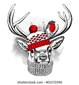 Deer portrait in a red knitted hat and with bird. Vector illustration.