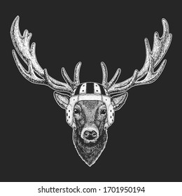 Deer portrait. Rugby leather helmet. Head of wild animal.