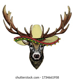 Deer portrait. Sombrero mexican hat. Head of wild animal.