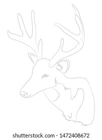 deer portrait vector illustration, line drawing, vector, white background