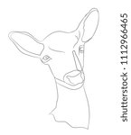 deer portrait, vector, white background