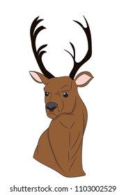 deer portrait, vector, white background