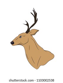 deer portrait, vector, white background