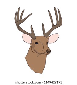 deer portrait, vector, white background