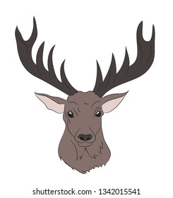 deer portrait,color drawing, vector, white background
