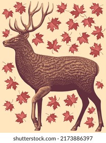 Deer in profile and maple leaves. Design set. Editable hand drawn illustration. Vector vintage engraving. 8 EPS