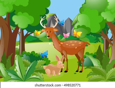 Deer and rabbit in the woods illustration