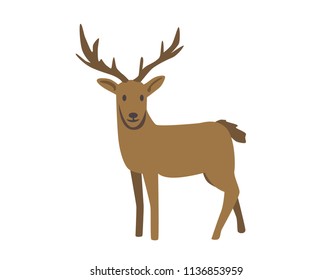 Deer, raindeer. Flat vector illustration. Isolated on white background