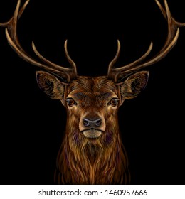 
Deer. Realistic, colorful, hand-drawn portrait of a deer's head on a black background.