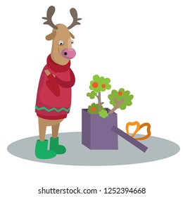 Deer received a gift for Christmas