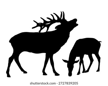 Os veados rugem com a ilustração de silhueta do vetor de acasalamento feminino isolada. Símbolo de sombra da forma de rena rugosa. Orgulhosa família de veados. Amor feminino masculino na floresta ou zoológico. Poderoso buck com chifres enormes.