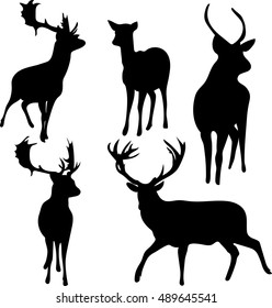 deer and roe silhouettes on the white background.