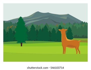 a deer in the savanna with forest and mountain background