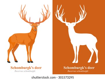 Deer (Schomburgk's Deer) cartoon vector.