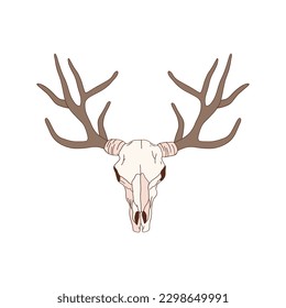 Deer scull with horns vector illustration isolated on white. Western Christmas design, wild west element. Delicate outlined graphics.